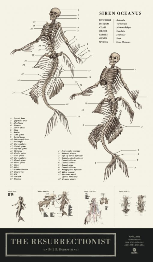 anatomical_illustrations_mythological_creatures_5