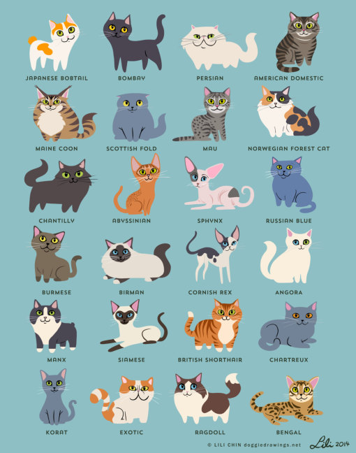 cats_of_the_world