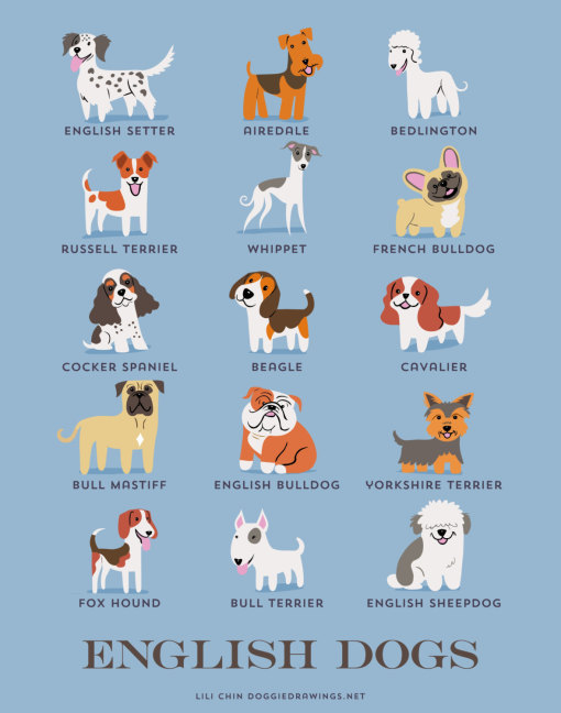 dogs_of_the_world_english