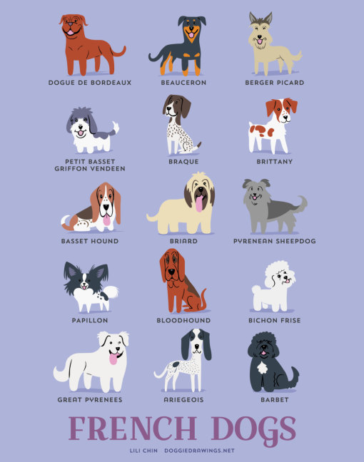dogs_of_the_world_french