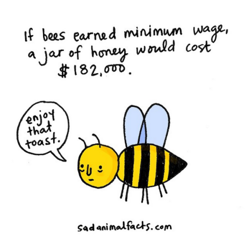 sad_animal_facts_bees