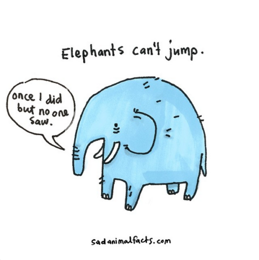 sad_animal_facts_elephants