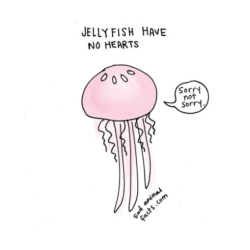 sad_animal_facts_jellyfish
