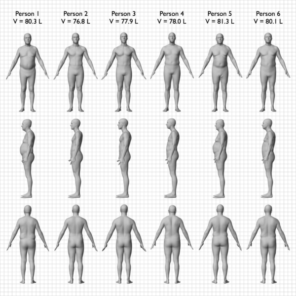 same_bmi_different_body_compositions