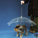 Dogbrella Keeps Your Pooch Dry in the Rain [Genius Invention]