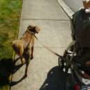 Former Walmart Transformed into a Modern Library