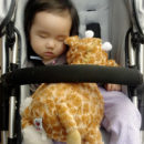 A Compilation of Claire's Recent Funnies claire_sleeping_in_stroller