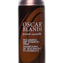 Cool Tool Tuesdays: Oscar Blandi Pronto Invisible Volumizing Dry Shampoo Spray oscar_blandi_pronto_invisible_volumizing_dry_shampoo_spray