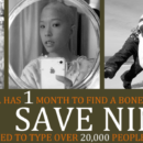 save_nina