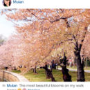 disney_princess_instagram_mulan