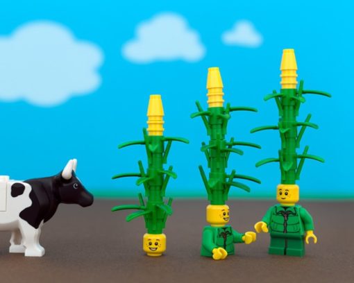 lego_50_states_iowa