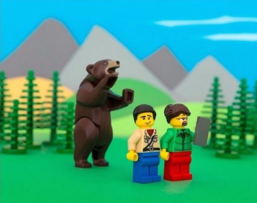 lego_50_states_wyoming