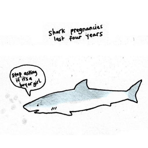 sad_animal_facts_sharks