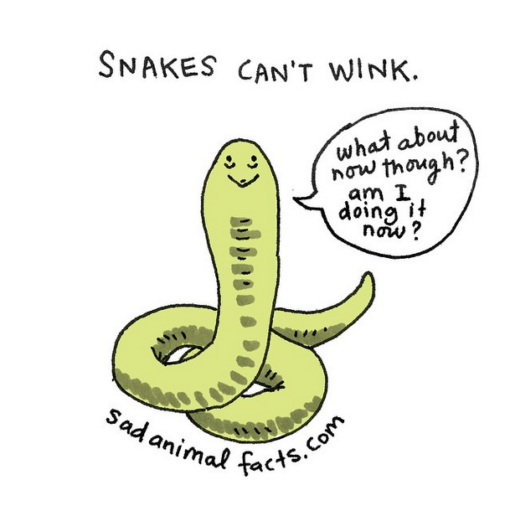 sad_animal_facts_snakes