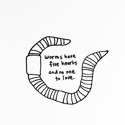 sad_animal_facts_worms