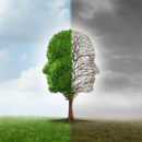 A Decade-Plus-Old Misdiagnosis bipolar