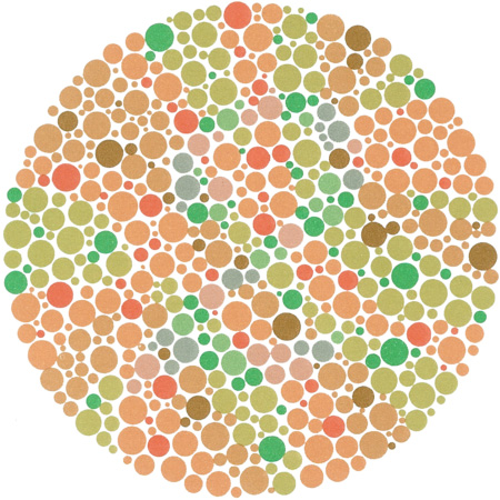Color Blindness Vision Simulator