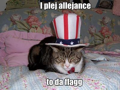 Have an LOLCat Independence Day!